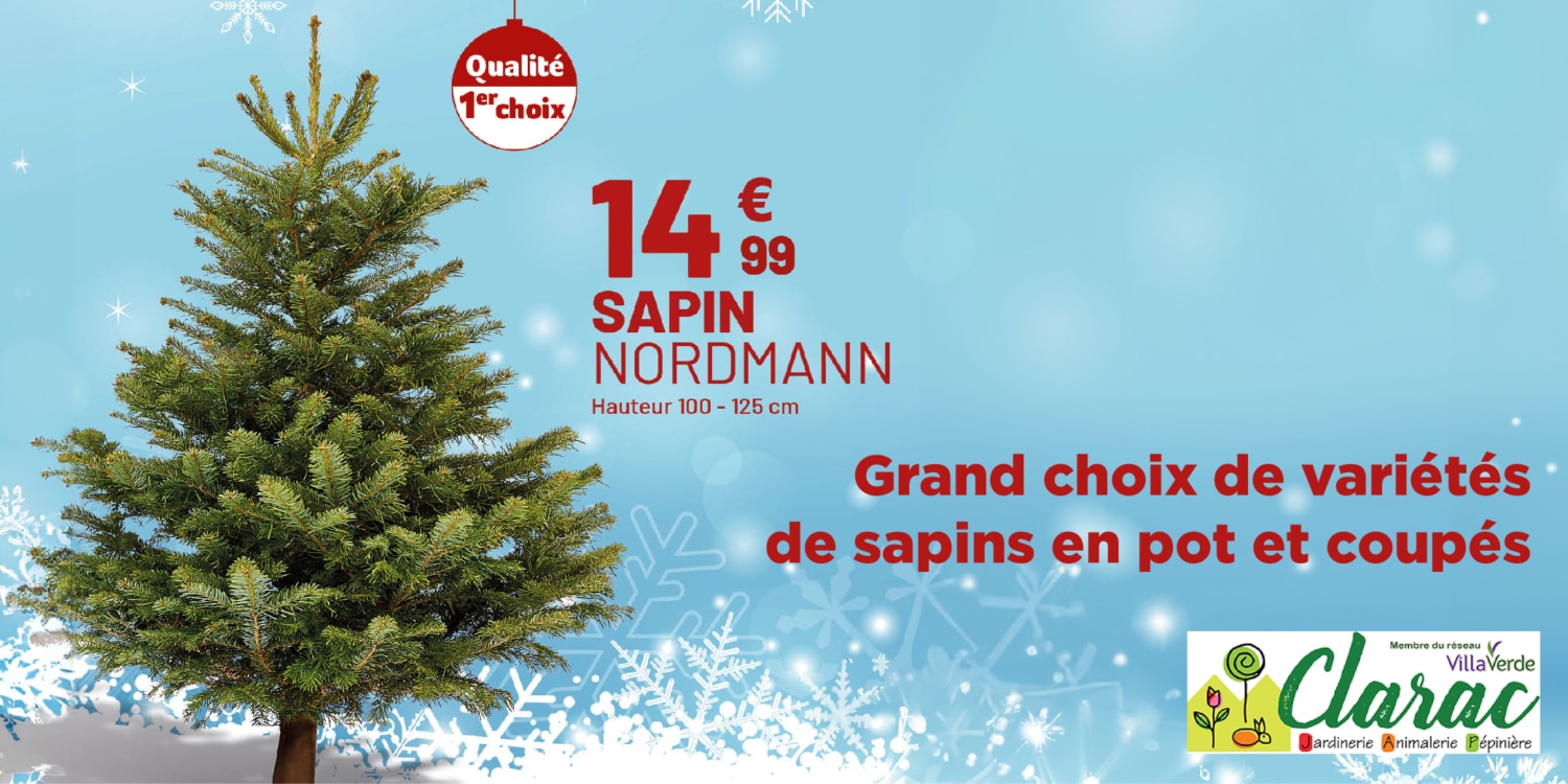 Sapin de Noël Jardinerie à Pamiers en Ariège Clarac